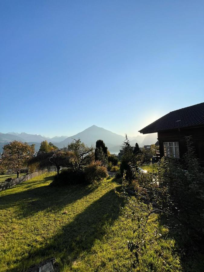 Chalet Edelweiss ซิกริซวิล ภายนอก รูปภาพ