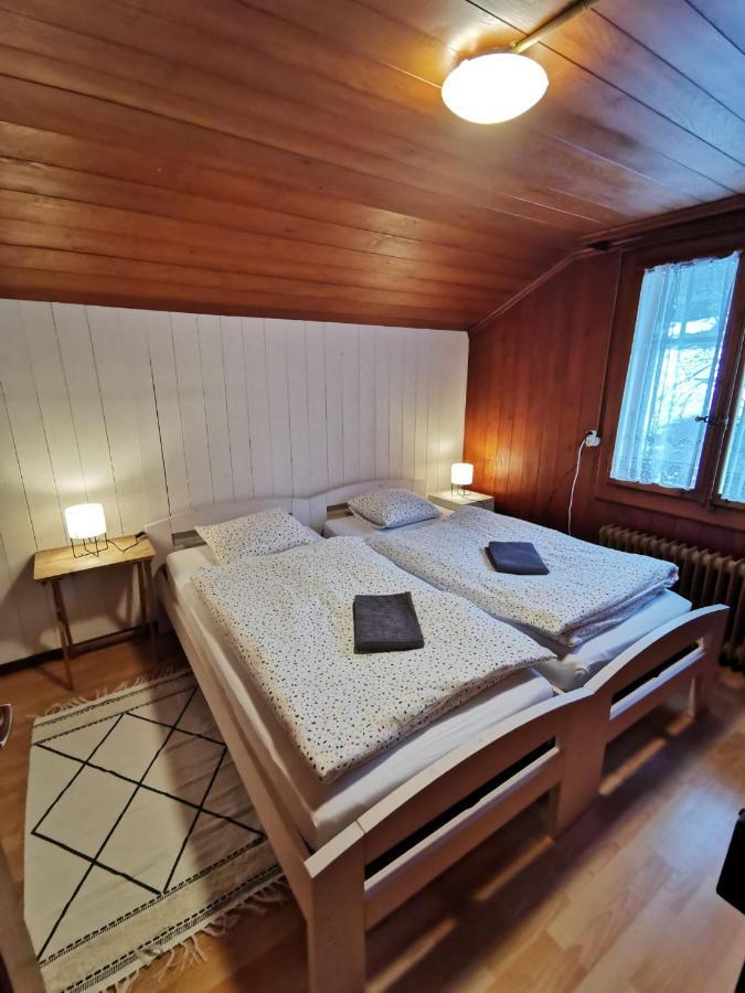 Chalet Edelweiss ซิกริซวิล ภายนอก รูปภาพ