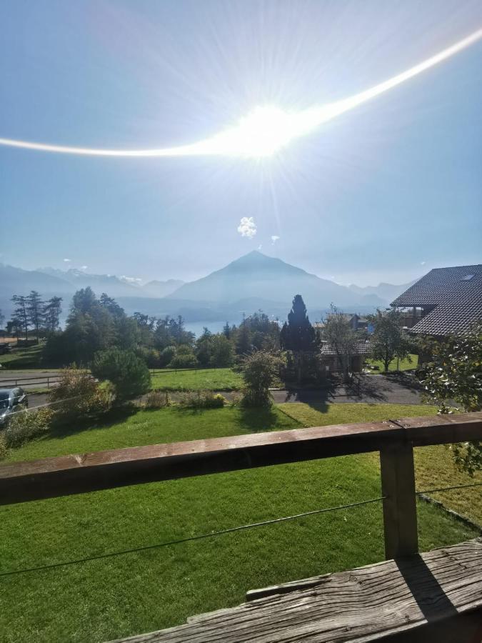Chalet Edelweiss ซิกริซวิล ภายนอก รูปภาพ