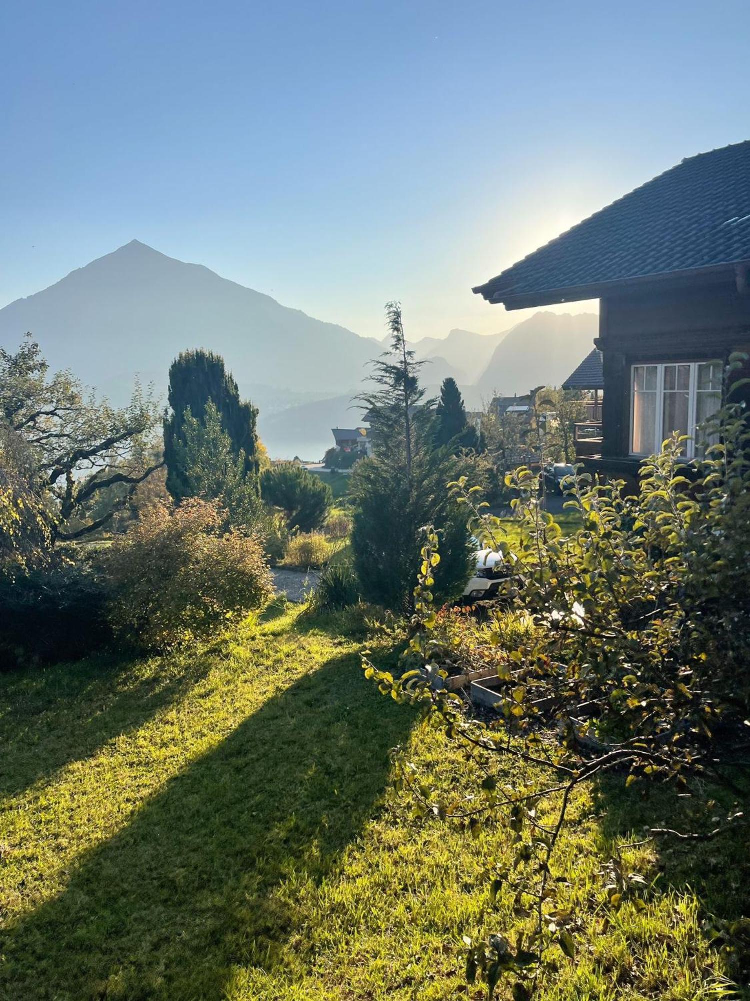Chalet Edelweiss ซิกริซวิล ภายนอก รูปภาพ